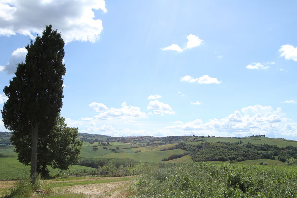 Detail 3 of Tuscan Countryside